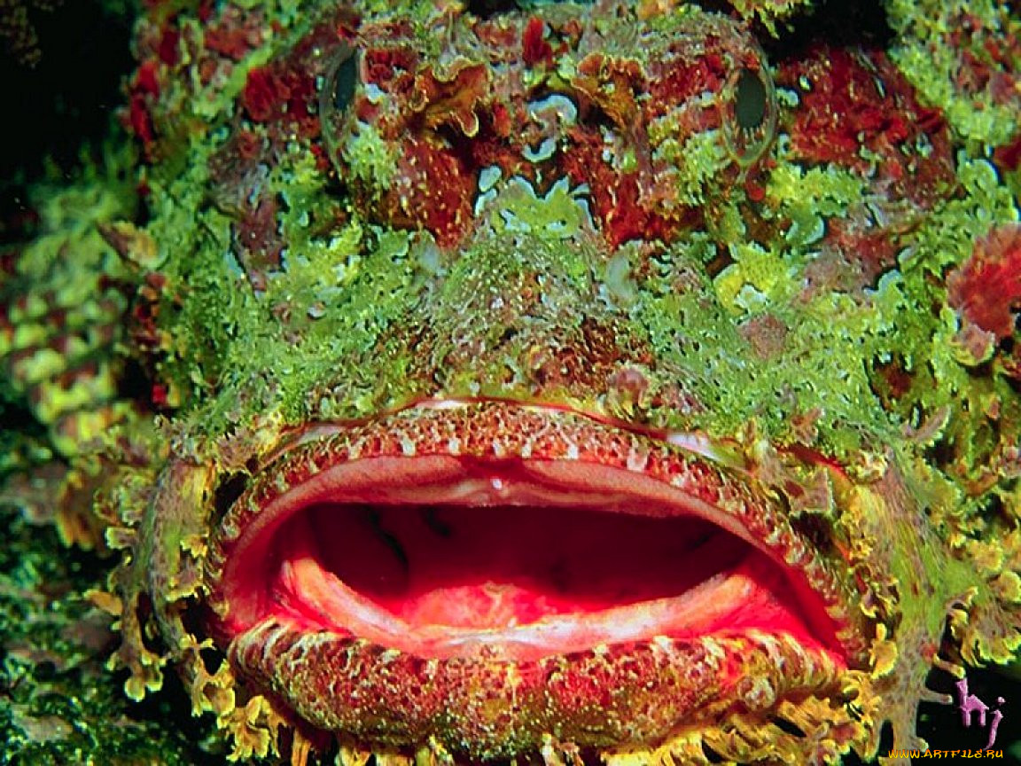, 